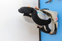 届いたチャイルドシートIMG_3644